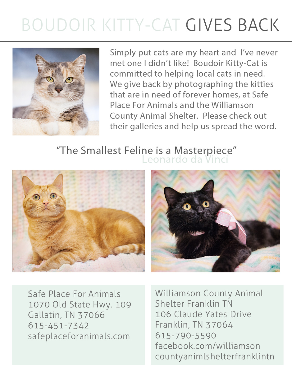 Giving Back To The Cat Community » Giving Back To The Cat Community »