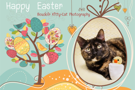Happy Easter Card With a Cat