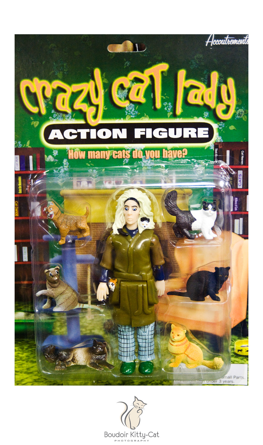 Crazy Cat Lady Action Figure