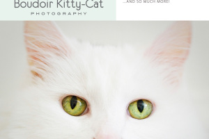 Boudoir Kitty-Cat Photography Brochure