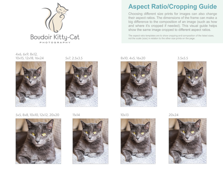 BoudoirKittyCatCropping Guide (Aspect Ratio) Portrait