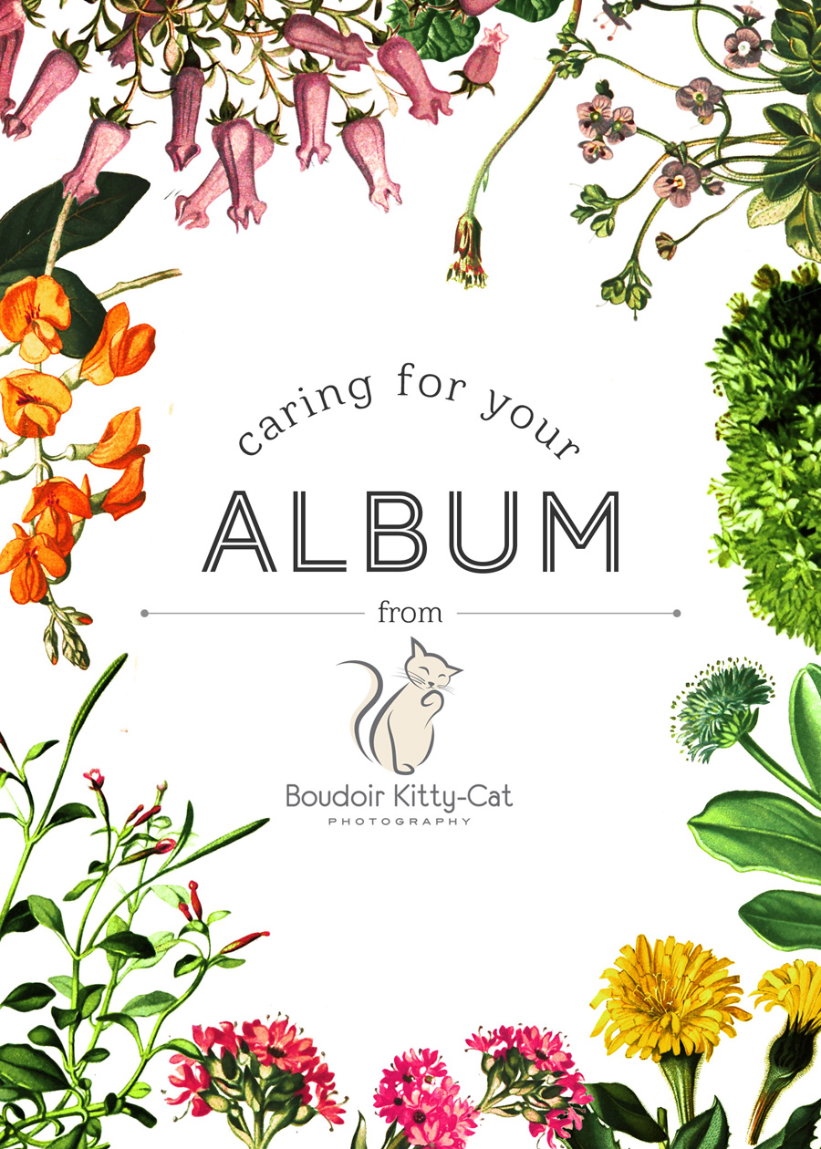 AlbumCare_Front Boudoir Kitty-Cat