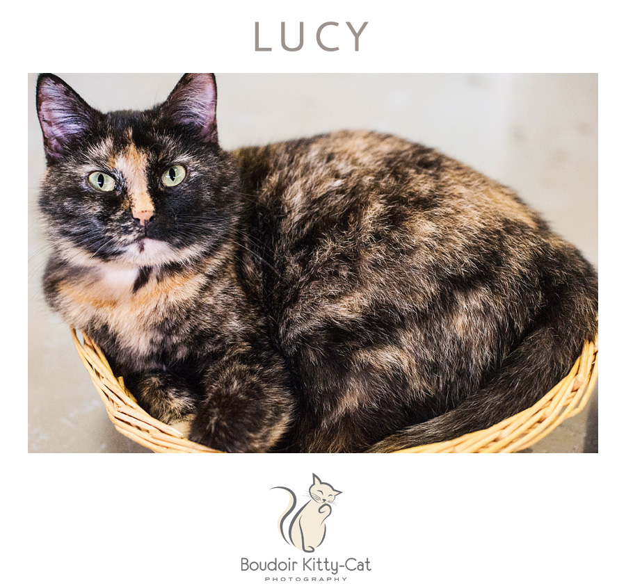 Safe Place For Animals Boudoir Kitty-Cat Adoption Portrait Lucy-003