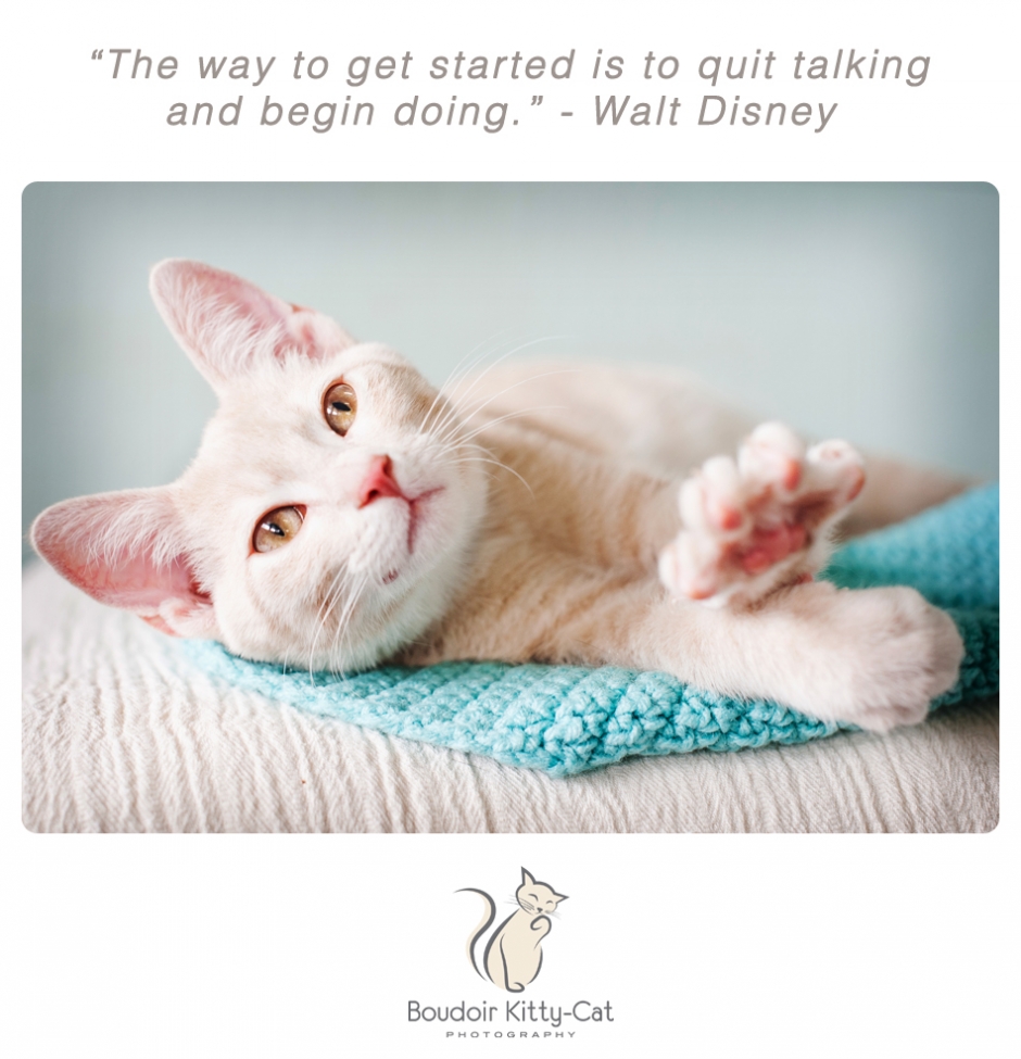 Boudoir Kitty-Cat Photography Presents The Inspired Cat-002
