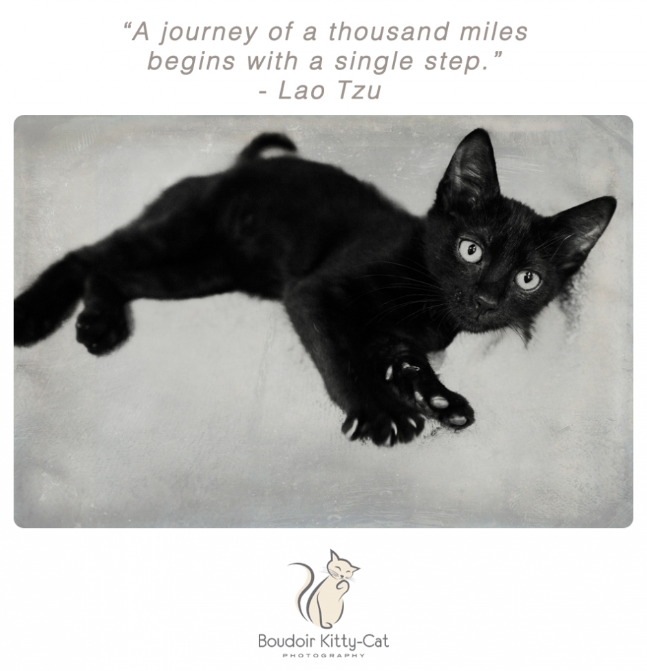 Boudoir Kitty-Cat Photography Presents The Inspired Cat Day-001