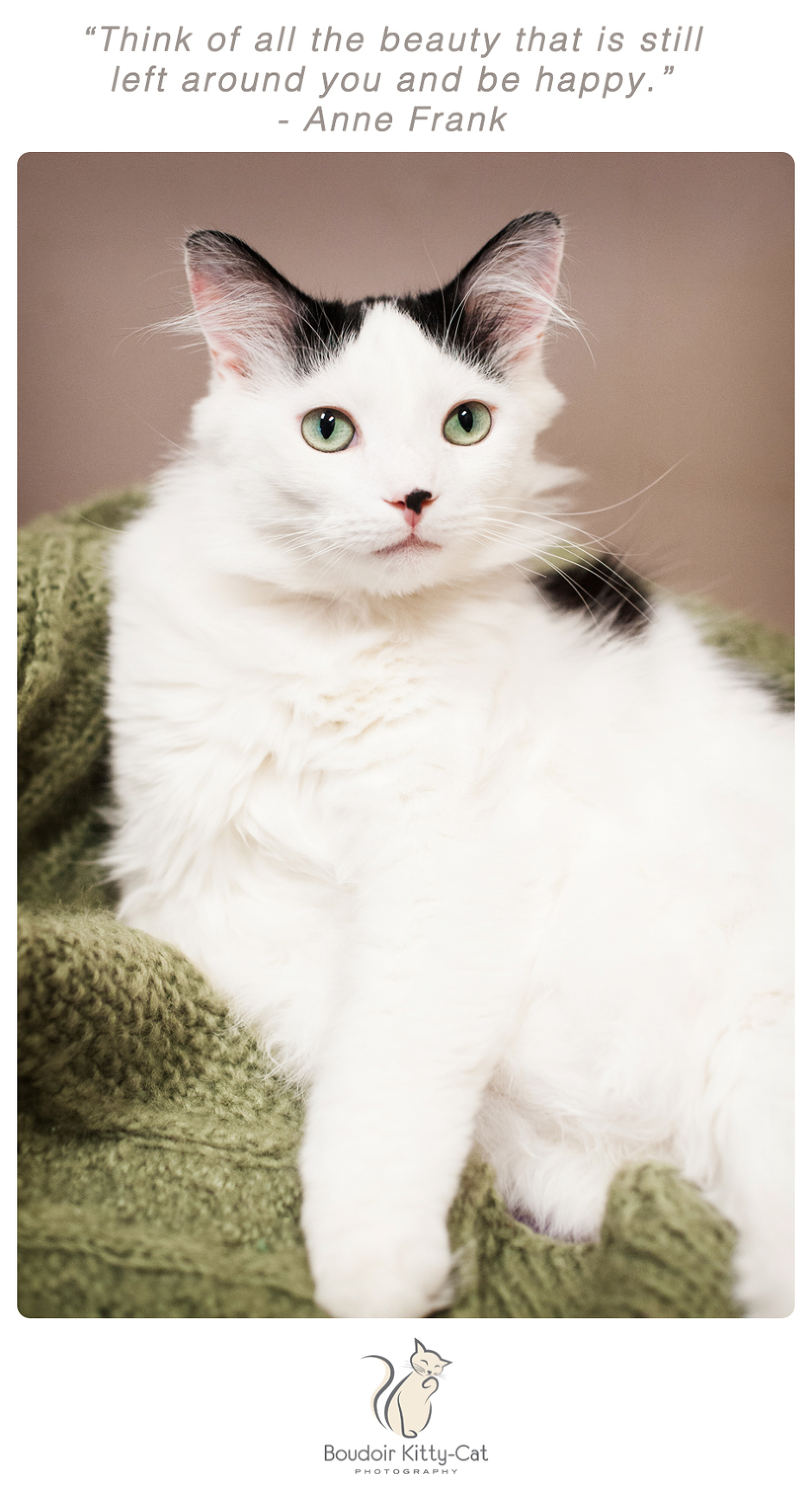 Boudoir Kitty-Cat Photography Presents The Inspired Cat Day-030