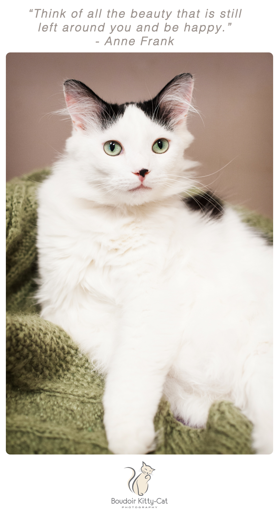 Boudoir Kitty-Cat Photography Presents The Inspired Cat Day-030