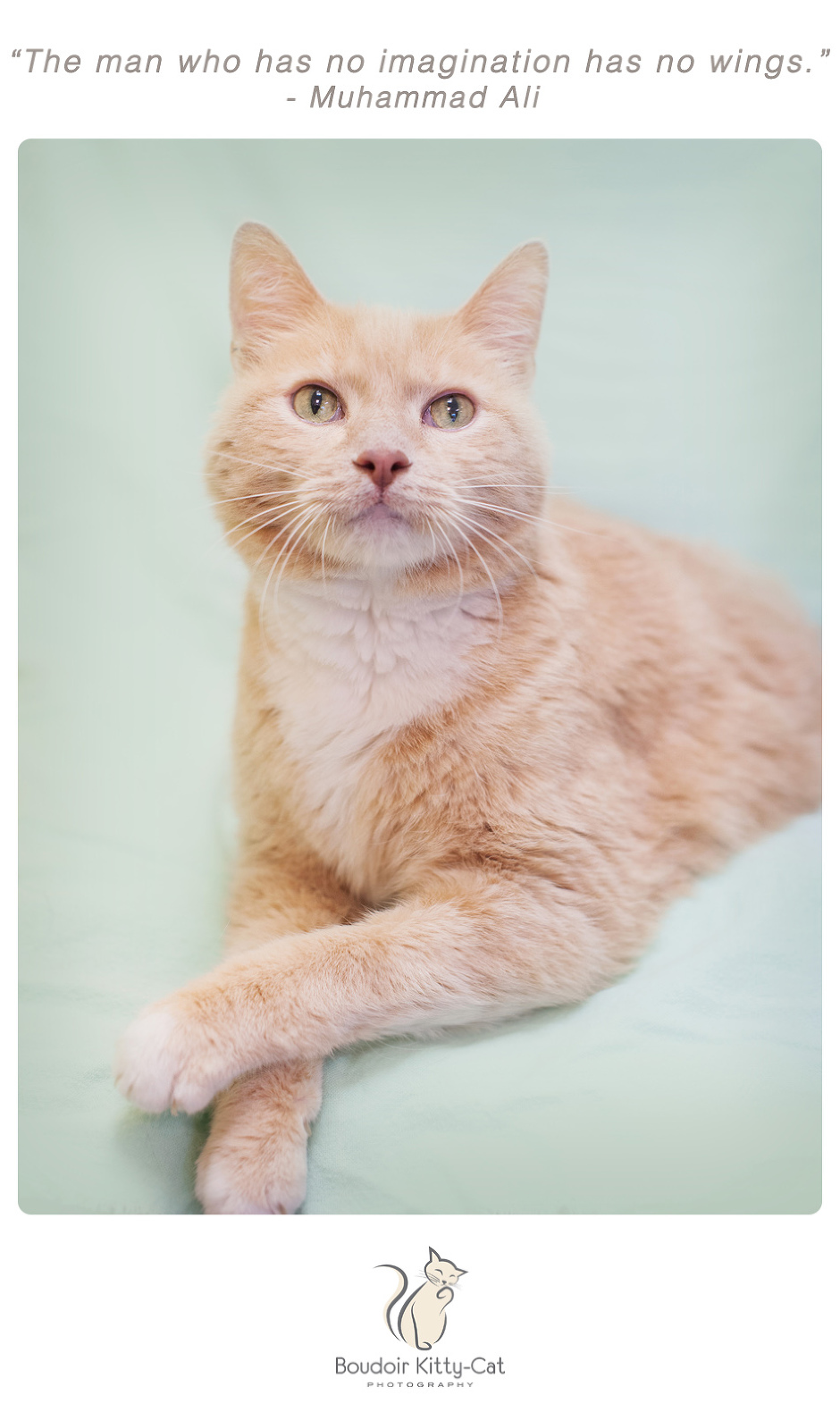 Boudoir Kitty-Cat Photography Presents The Inspired Cat Day-188