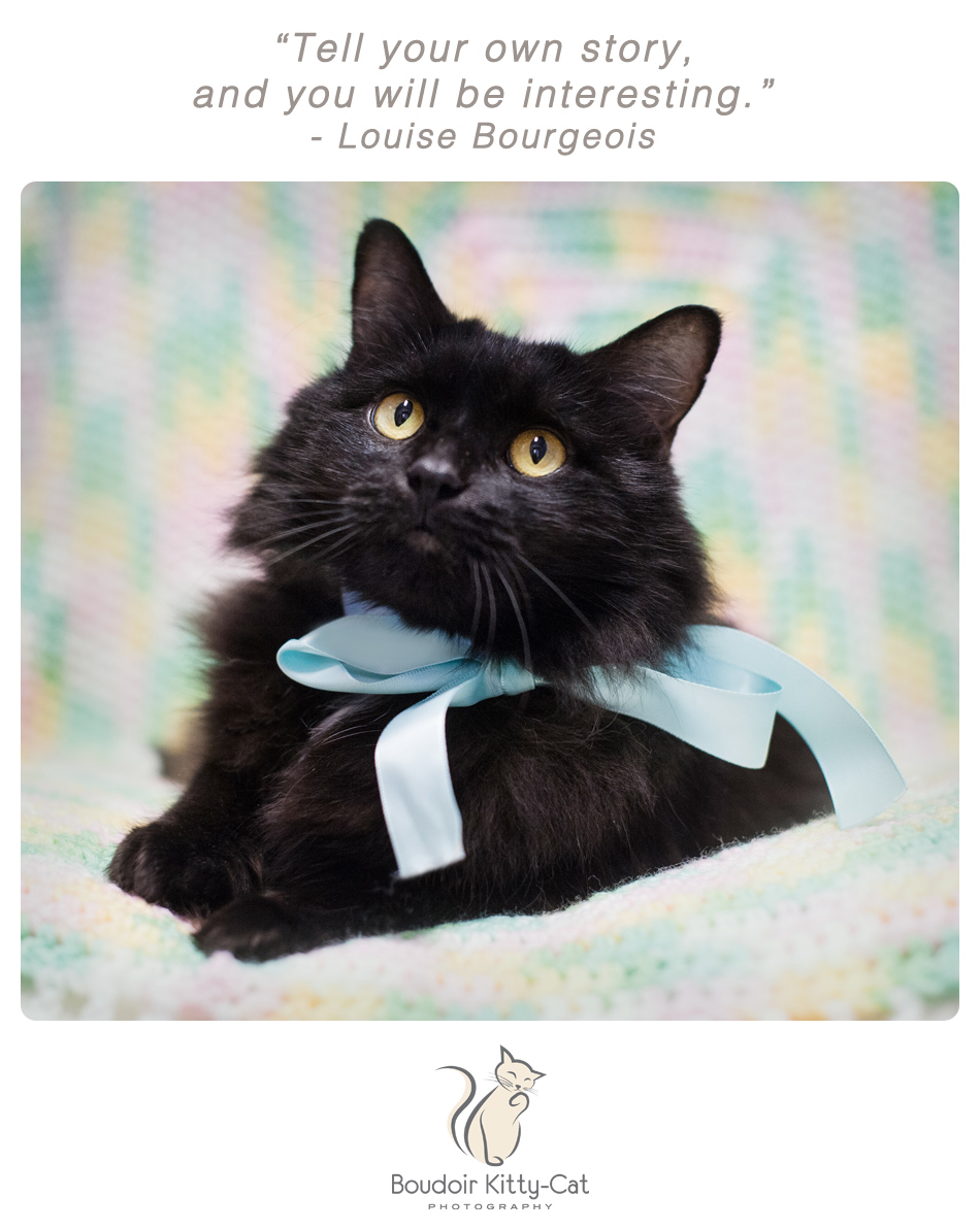 Photo of a black cat wearing a ribbon
