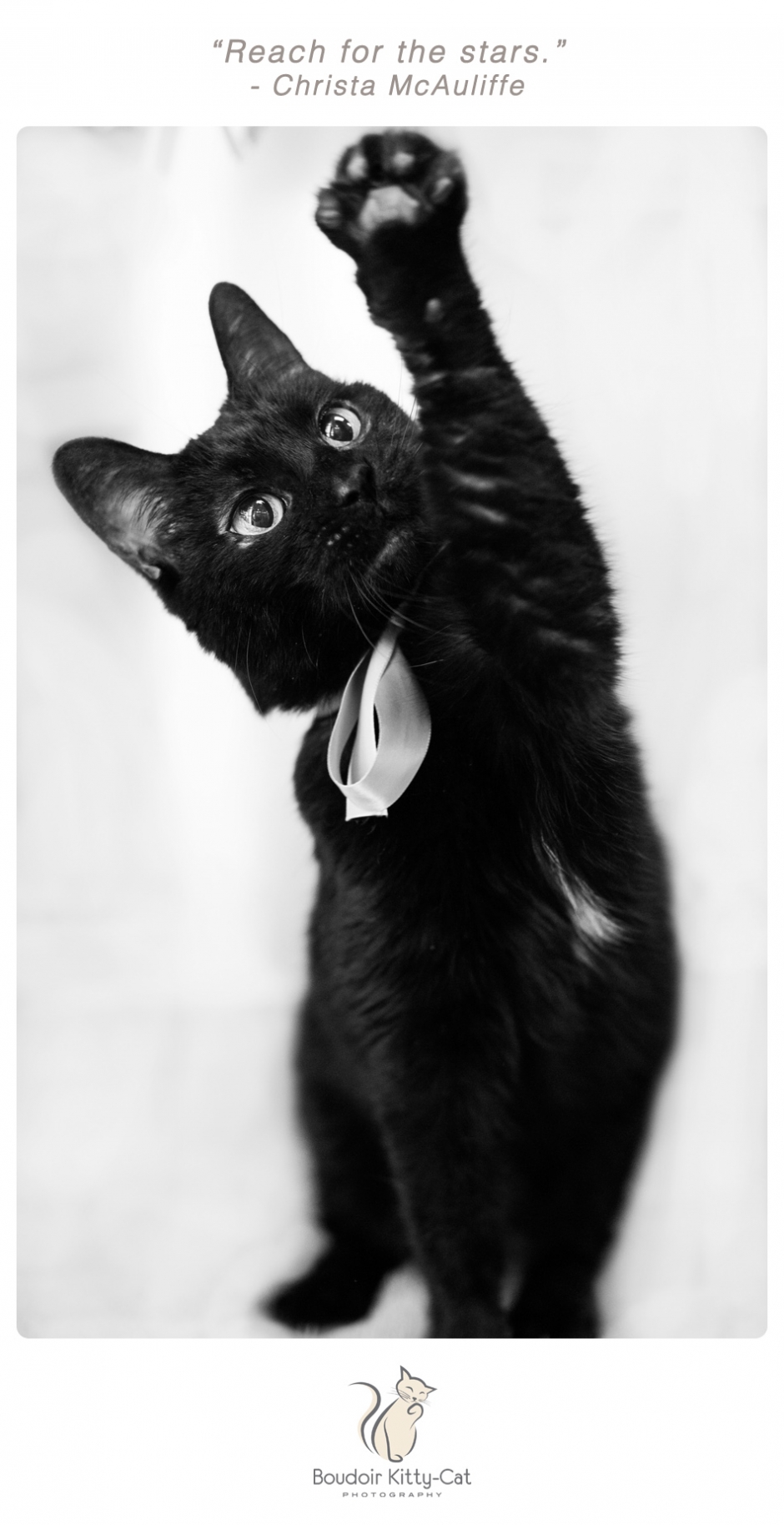 Photo of a black cat extending its paw upwards