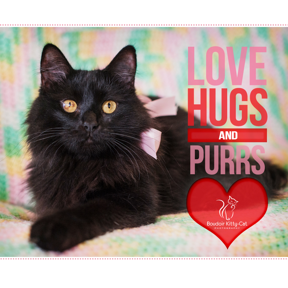 Boudoir-Kitty-Cat-Photography-Valentines-Card-2016.jpg