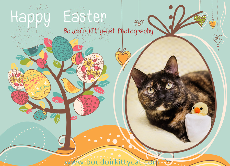 Happy Easter Card With a Cat