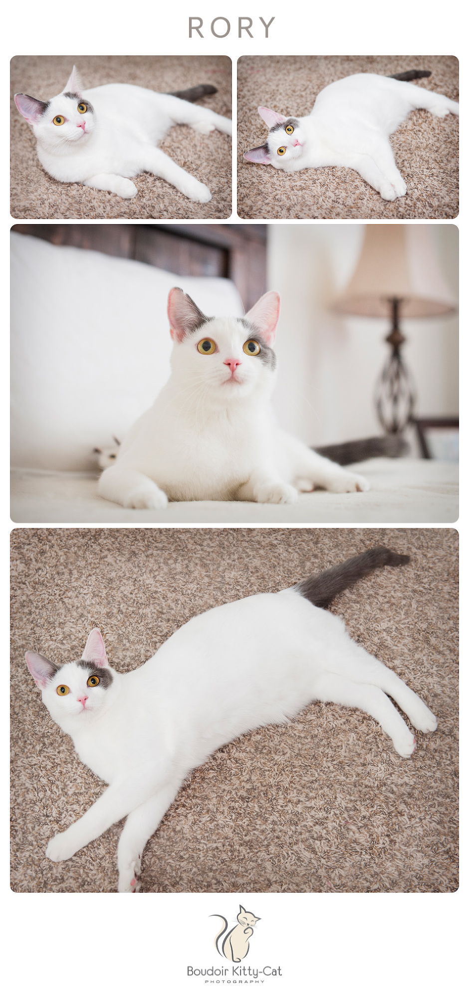 boudoir-kitty-cat-photography-rory-001